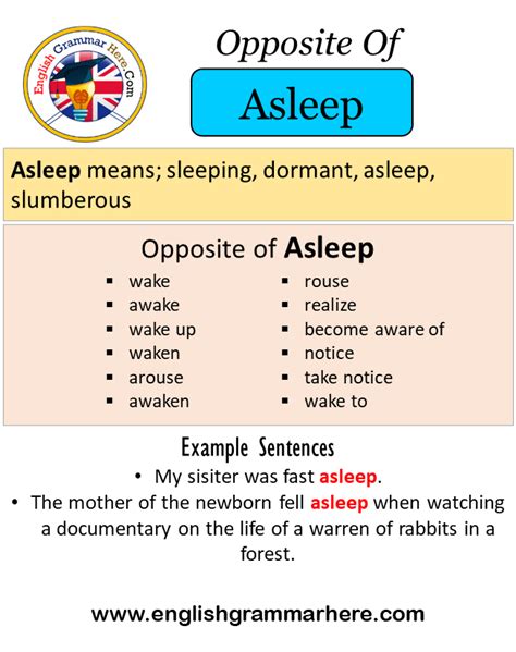 antonyms asleep